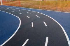 Track _ Solid Black_Solid Blue_ White Line Paint