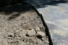 Site Prep..
